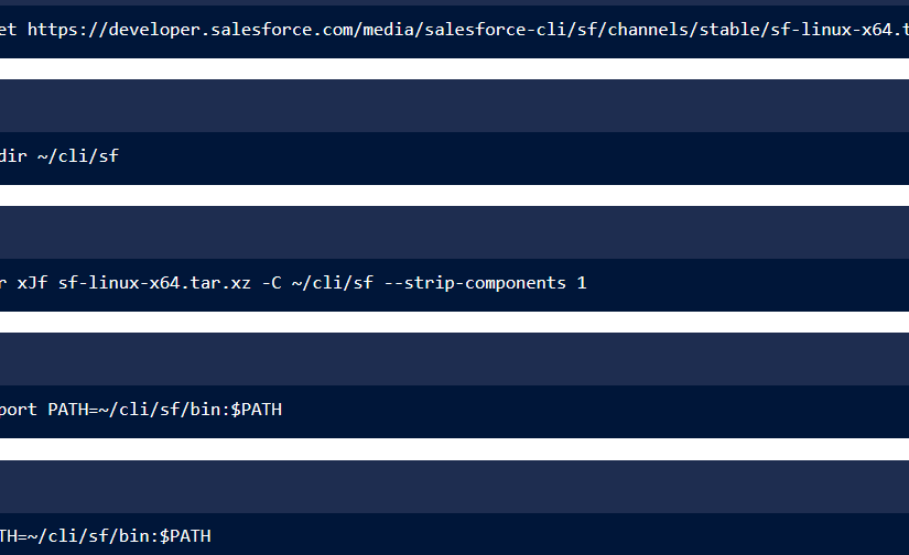 Salesforce CLI 设置指南